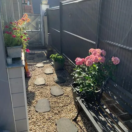 Dom's Garden Livarot-Pays-d'Auge