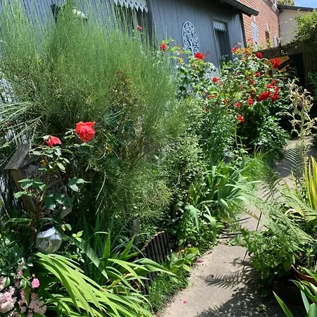 Dom's Garden Bed and breakfast