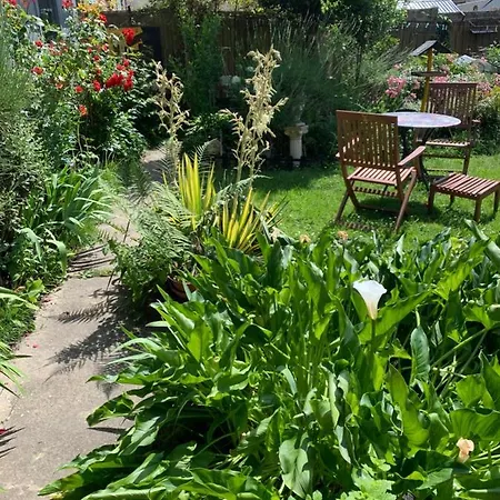 Dom's Garden 住宿加早餐酒店 Livarot-Pays-d'Auge