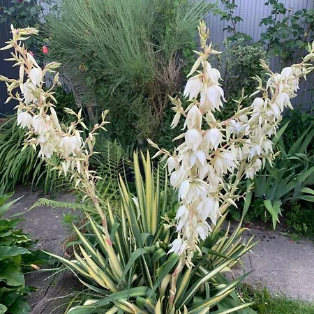 Dom’s Garden 3* Livarot-Pays-d'Auge
