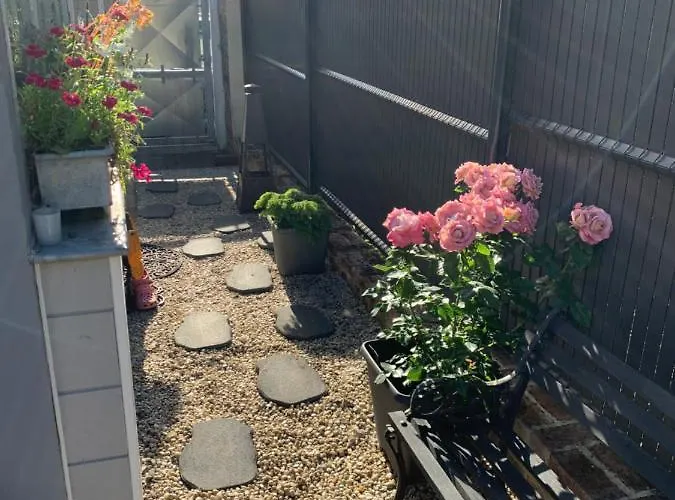 Dom's Garden Livarot-Pays-d'Auge